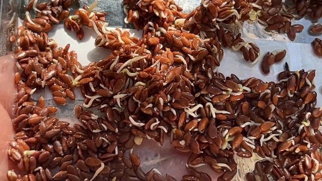 Каждая ложка этой смеси бесценна! Болезни Боятся их как Огня Всего 1 ложка и организм ...