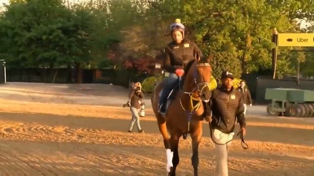 Eddie Olczyk's Pegasus World Cup Contenders Montage смотреть онлайн