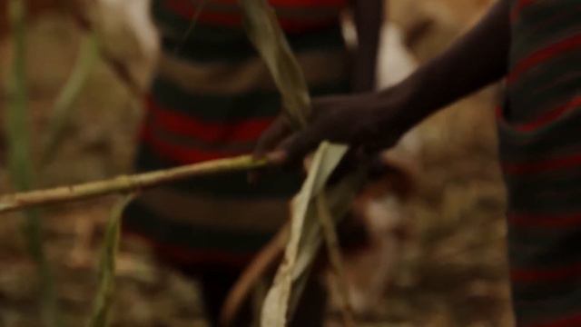 Afrika Kıtası Belgeseli👀 Afrika Uyanıyor Mu❓ Afrikada Neler Oluyor😮 Afrika Hakkında Bilgi