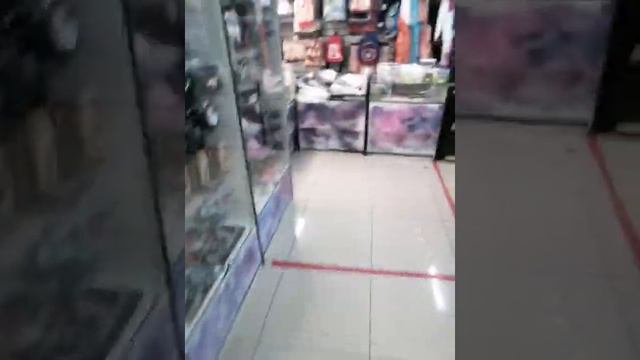 03.08.20 Аниме магазин НЯПИ в Москве Обзор новинок смотреть онлайн