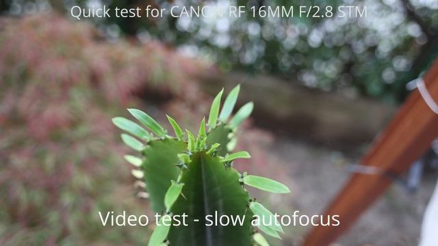 CANON RF 16MM F/2.8 STM - RF Lenses R6