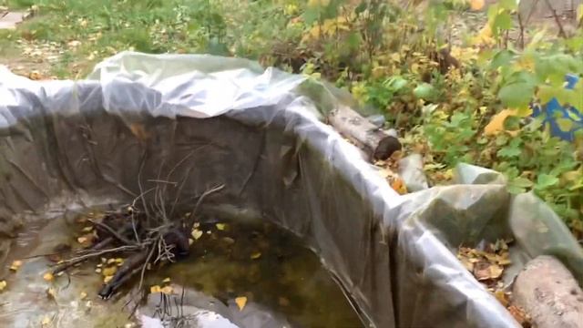 РЕЗУЛЬТАТЫ НАШЕГО ПРУДИКА - СКОЛЬКО КАРАСЕЙ МЫ ВЫЛОВИЛИ? l РАЗБИРАЕМ ЛЕТНИЙ ПРУДИК l МНОГО КАРАСЕЙ! смотреть онлайн
