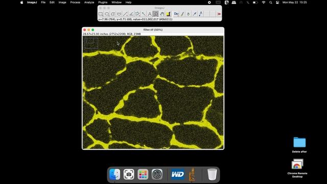 Using ImageJ FILTERS to remove NOISE from an image for thresholding смотреть онлайн