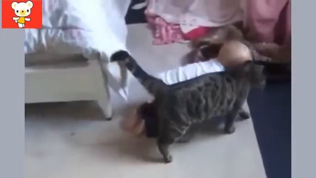 Дети и животные 2 ● Приколы с животными осень 2014 ● Dogs Cats Cute Babies Compilation ● Part 2 смотреть онлайн