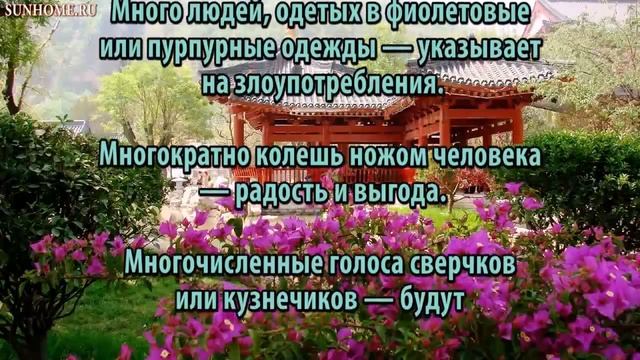 К чему снится Много чего-нибудь сонник, толкование сна смотреть онлайн