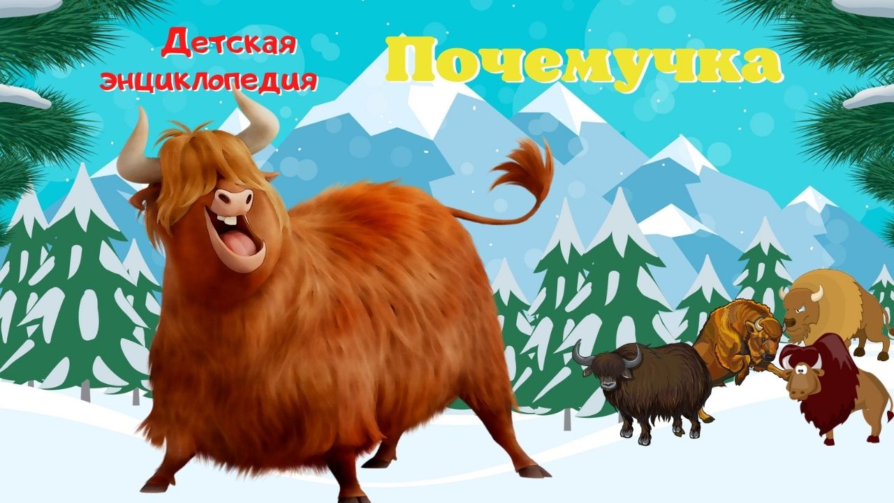 0+ Бизоны. Интересные факты. Почемучка. Детская энциклопедия. смотреть онлайн