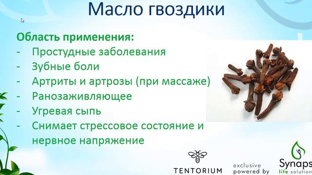 Рино Фактор смотреть онлайн