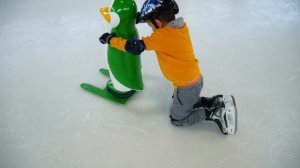 Как научиться кататься на коньках? ДИДИКА ТВ