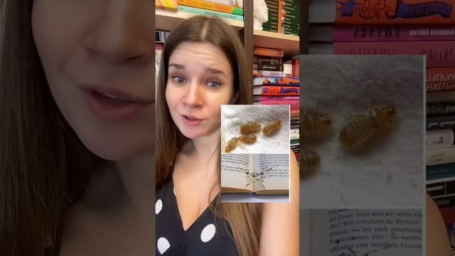 Про самое опасное хранение книг и книжных жителей #книги смотреть онлайн