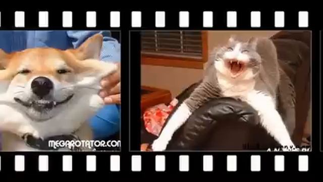 &&&&& Улыбка для моих друзей! &&&& смотреть онлайн