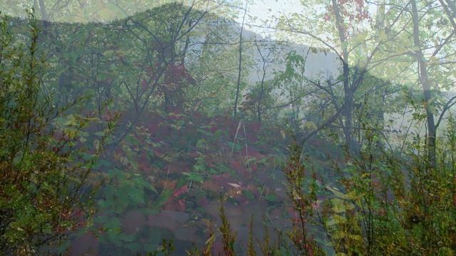 Осенняя грусть смотреть онлайн