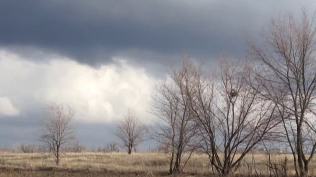 Разлив реки Самара на сорочинском водохранилище... смотреть онлайн