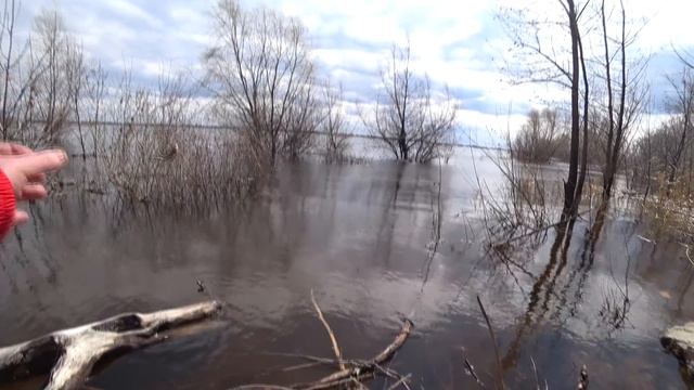 С таких мест не хочется уезжать! Рыбалка в красивых местах на поплавок 2020 смотреть онлайн