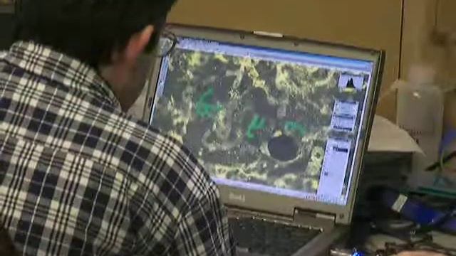 Reviel Netz Deciphers X rays of Archimedes Palimpsest смотреть онлайн