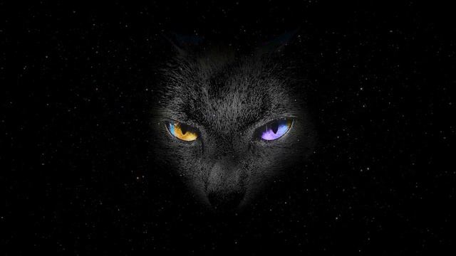 Egyptian Flute Music For Cats| Ancient Egypt Cat Worship Music смотреть онлайн
