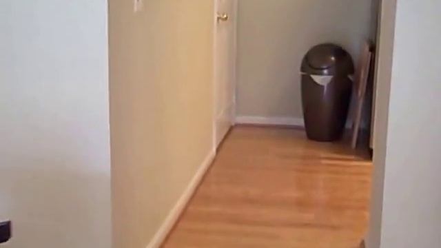 Reston Town Center Condo Oak Park Close to Reston Library смотреть онлайн