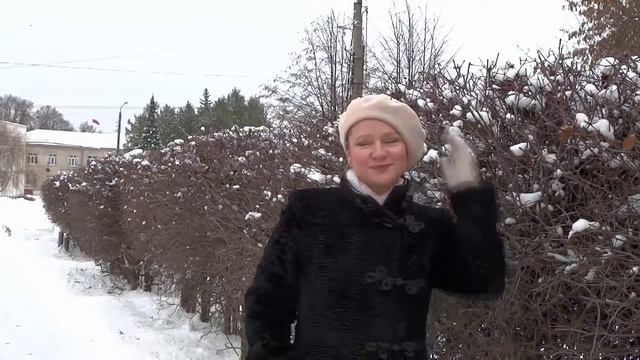 Природа гармонии и близости смотреть онлайн