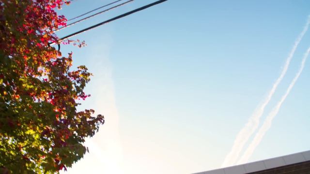 Fahamu Pecou | A Local's Guide to Atlanta смотреть онлайн