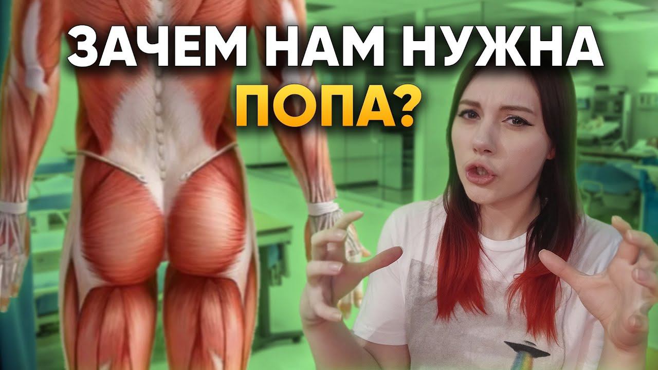 Вот зачем человеку нужна ПОПА | DeeaFilm смотреть онлайн