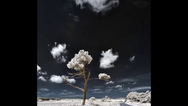 Сказочный мир в инфракрасном свете