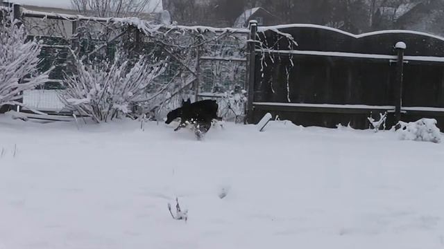 Пришла Зима ))) Снег!!! смотреть онлайн