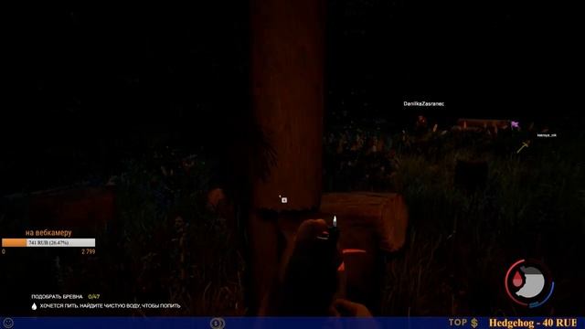 THE FOREST - МЖМ В ЛЕСУ