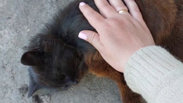 БУДНИ КРОЛИКОВОДА. СЕГОДНЯ БУДЕТ ХОРОШИЙ ДЕНЬ! ПОСАДИЛА РЕДИСКУ, БУРЯК И МОРКОВКУ. 25.04.23 смотреть онлайн