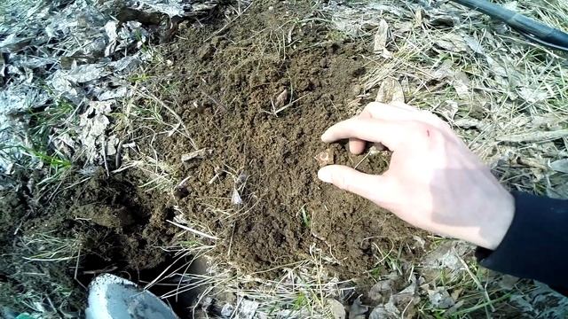 Пляжный коп! Серебро, бижутерия, монеты! смотреть онлайн