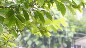 Суровое испытание судьбы. Рассказ