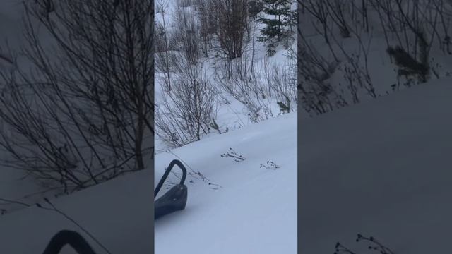 Сноубайк 172 ой мотор на нашем комплекте едет?? смотреть онлайн