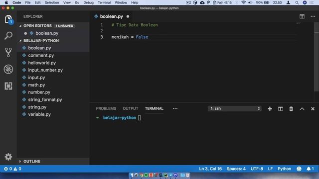 Pemrograman Python untuk Pemula - 13 Boolean смотреть онлайн