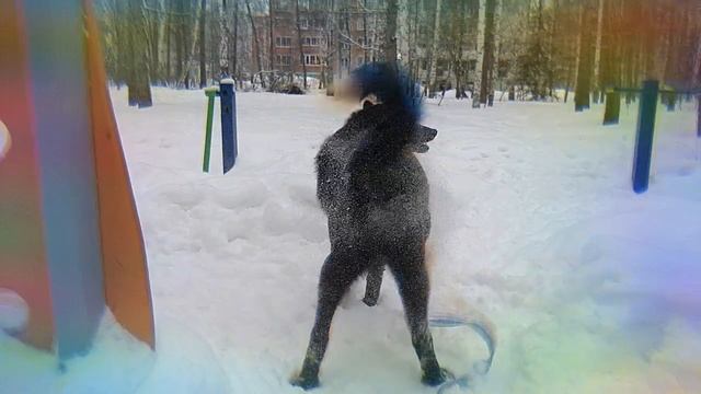 Тверк смотреть онлайн