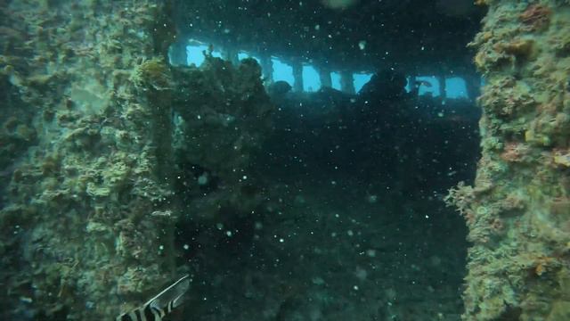 ex HMAS Hobart dive смотреть онлайн