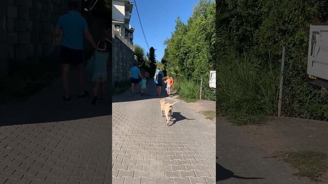 Дорога до пляжа. Турция.Отель Defne Defnem 5* смотреть онлайн