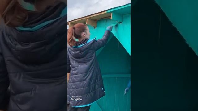 Обустройство приюта для бездомных животных. #shorts смотреть онлайн