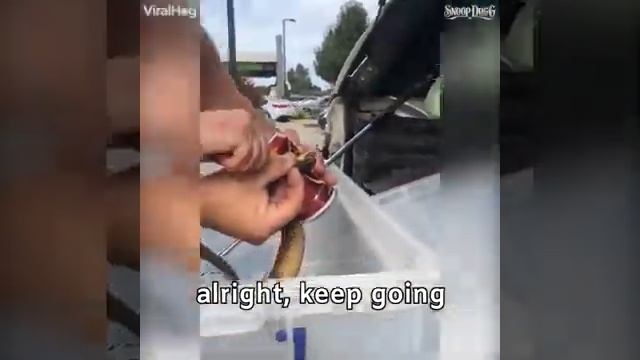 Snake's life Saved смотреть онлайн