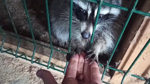 Весёлая шпана ???❤ смотреть онлайн