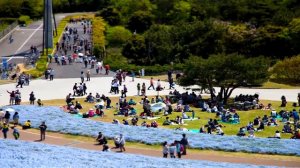 Лучшие парки мира