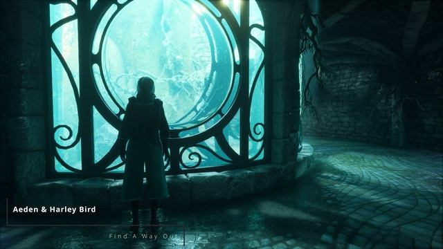 Aeden & Harley Bird - Find A Way Out