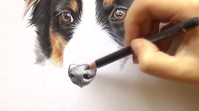 Colored pencil tutorial | How to draw a dog nose! смотреть онлайн