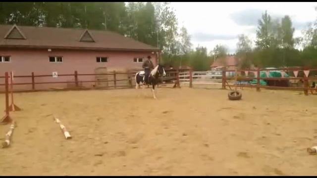 ВИРТУАЛЬНЫЙ ТРЕЙЛ / МАЙ 2019 / ОРЕШКОВ АЛЕКСЕЙ НА ГАВРЕ смотреть онлайн