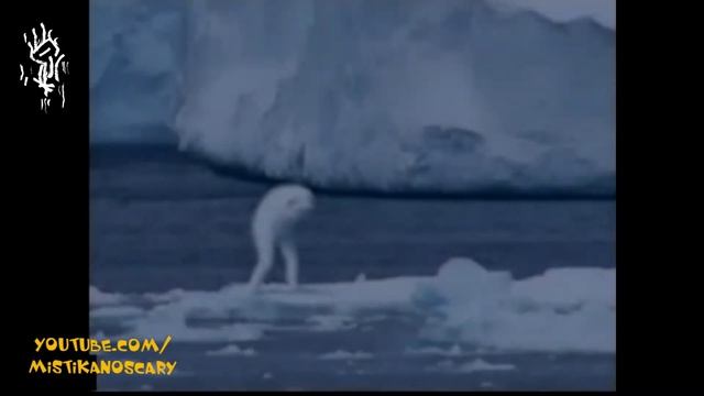 ЖУТЬ Kрионы Чудовища Антарктиды смотреть онлайн