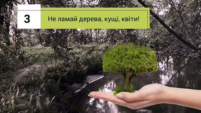 Правила поведінки під час екскурсій в природу смотреть онлайн