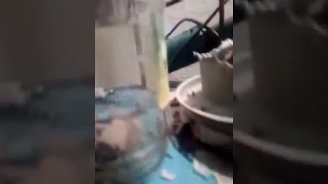 Как поймать мышей дома смотреть онлайн