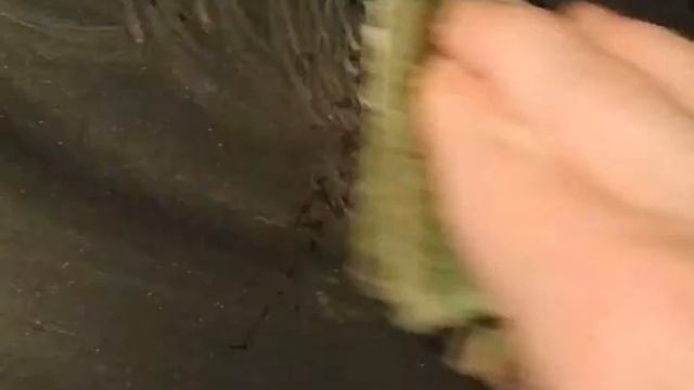 Паста Мистик+салфетка д/посуды отлично очищает даже самые сильные загрязнения со сложных покрытий! смотреть онлайн