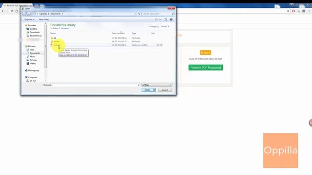 PDF Password Remover (Unlock PDF)