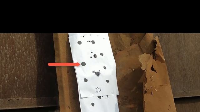 РСР отстрел 70 м.попытка2 смотреть онлайн