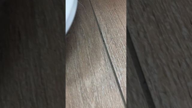 28 марта 2023 г. смотреть онлайн