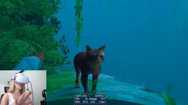 STRAY IN VR! The BEST way to play Stray! смотреть онлайн