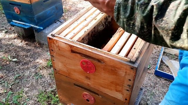 Проверка на прием маточки? смотреть онлайн